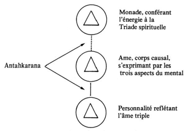 tâche du disciple sur le