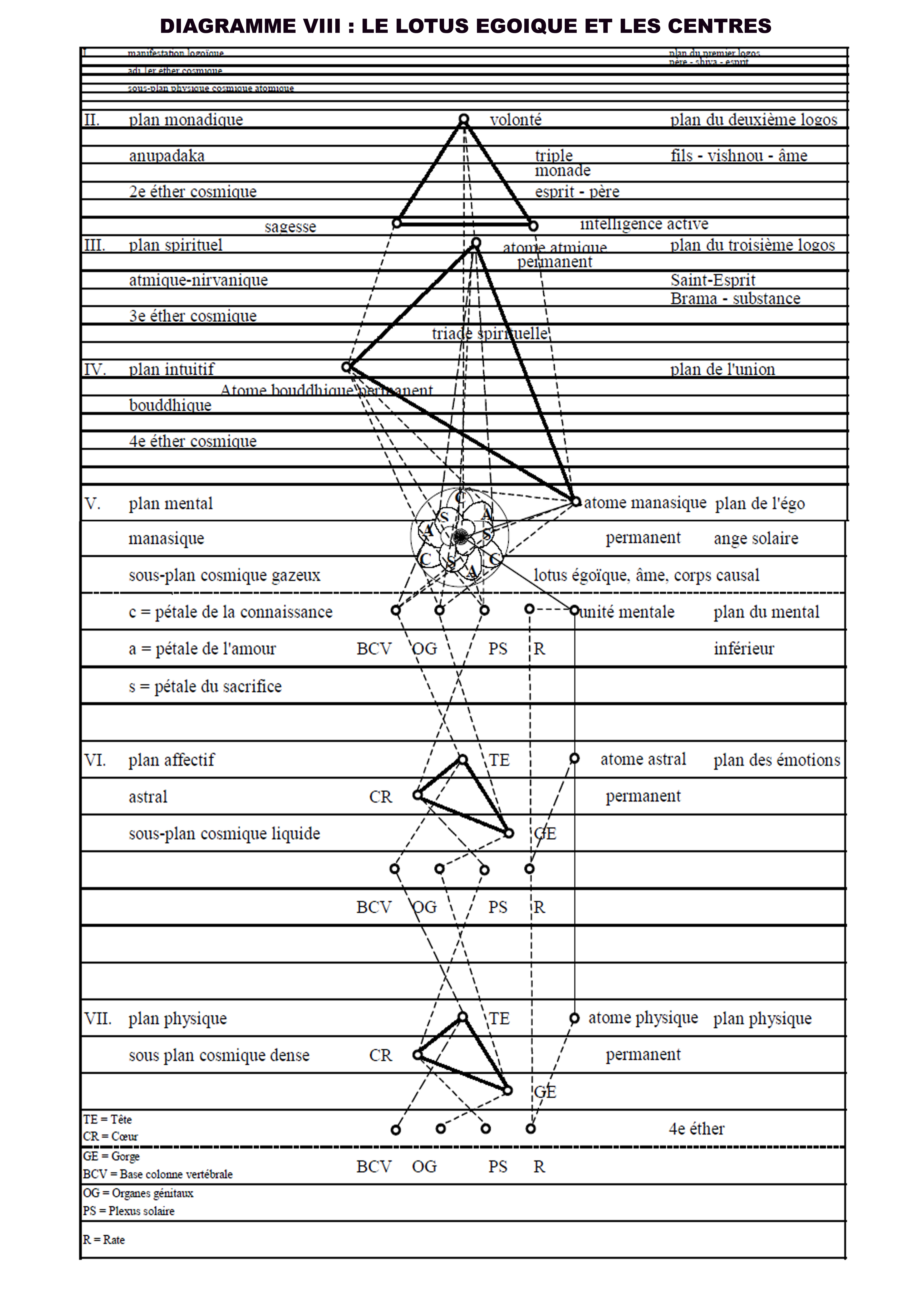  DIAGRAMME VIII 